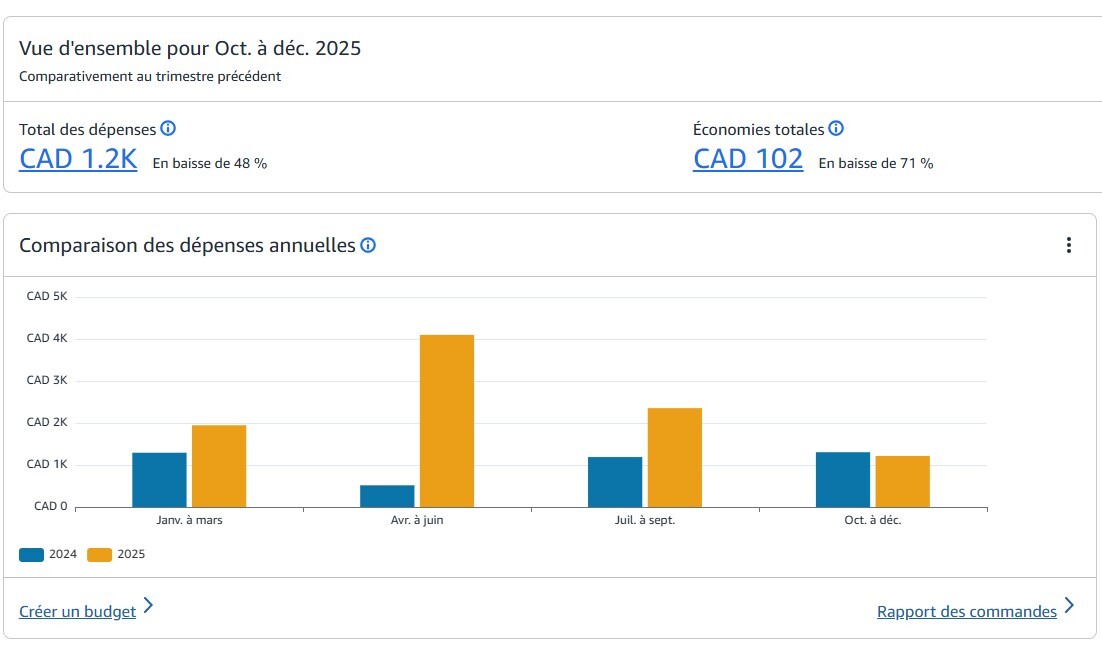 détails des dépenses