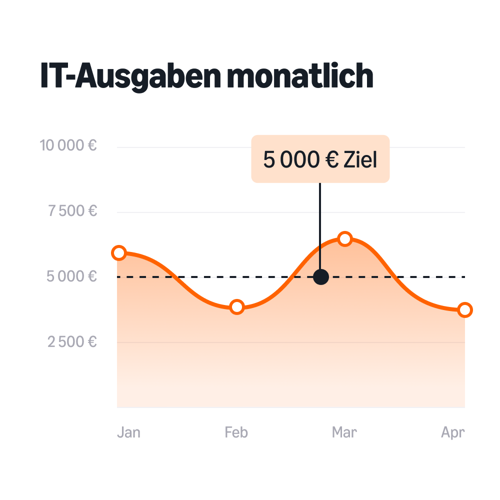 Monatliche IT-Ausgaben