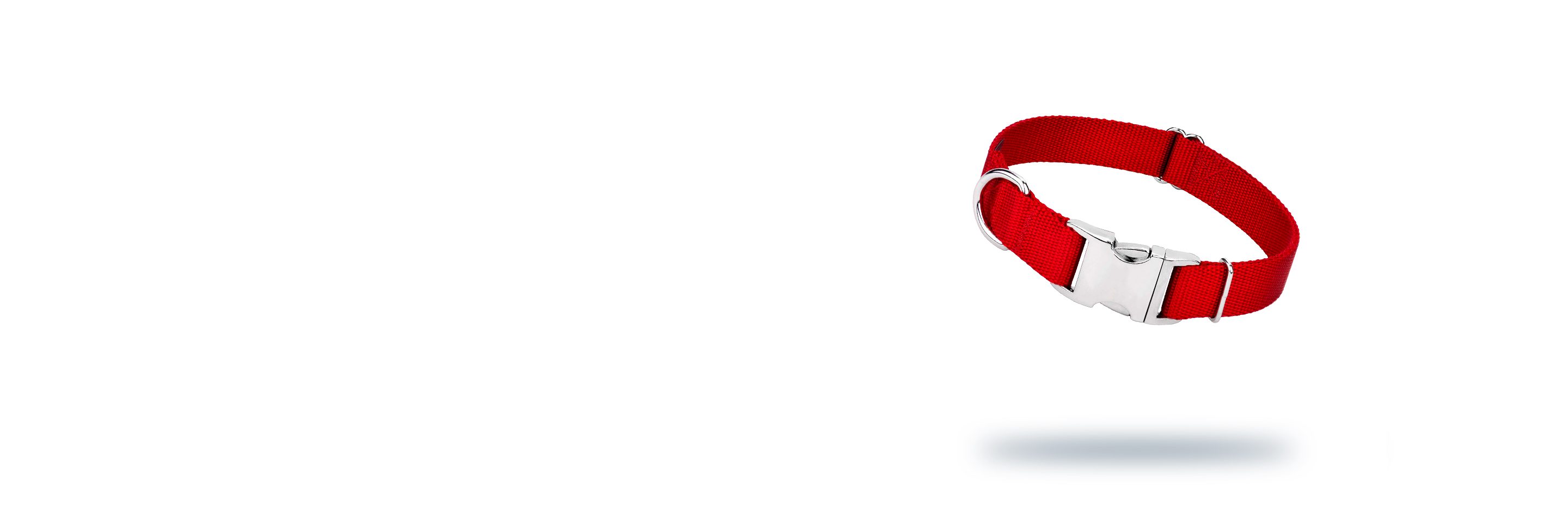 Collar de perro sin perro