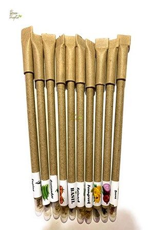Green Chapter plantable seed ball pens